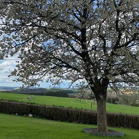 Haus Panoramablick Casa vacanze Burg Reuland