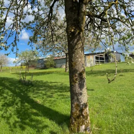 Haus Panoramablick Casa vacanze Burg Reuland