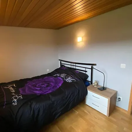 Haus Panoramablick *