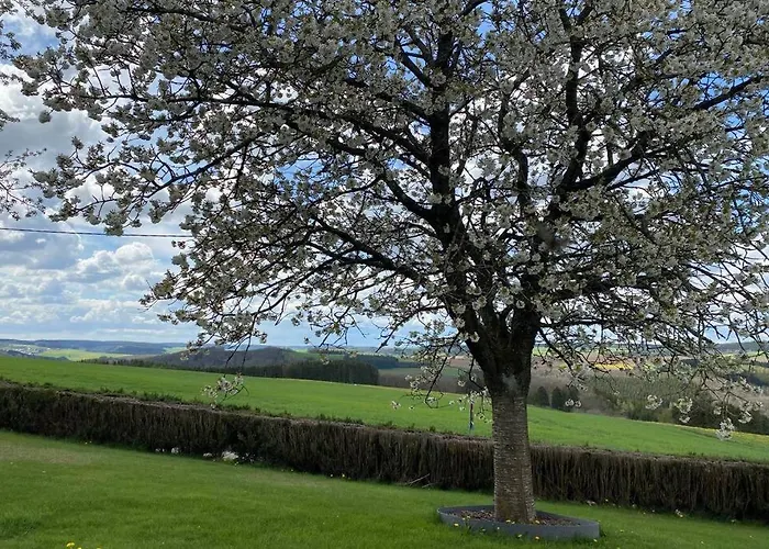 Haus Panoramablick Casa vacanze Burg Reuland