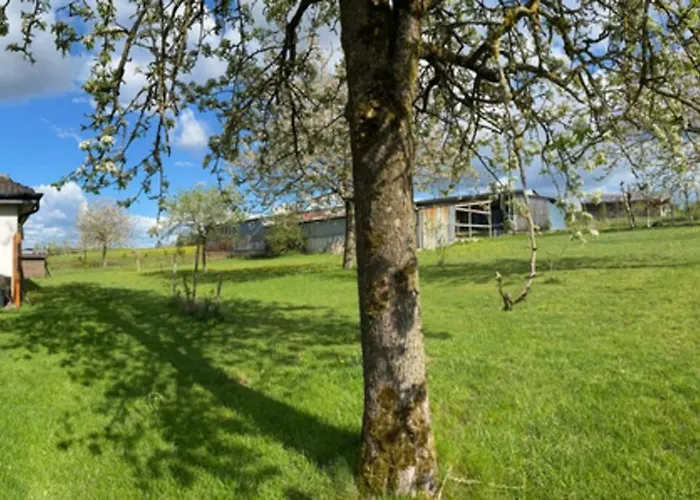 Haus Panoramablick Casa vacanze Burg Reuland